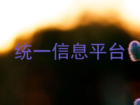 统一信息平台
