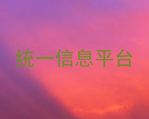 统一信息平台