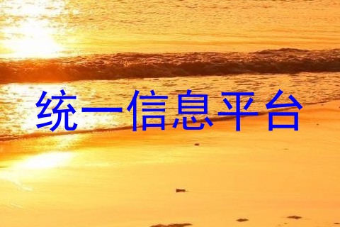 统一信息平台