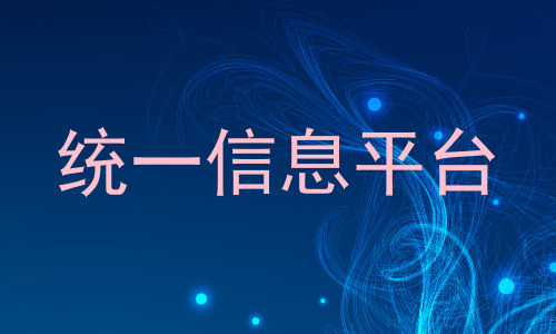 统一信息平台