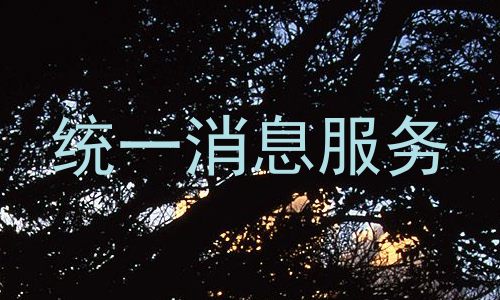 统一消息服务