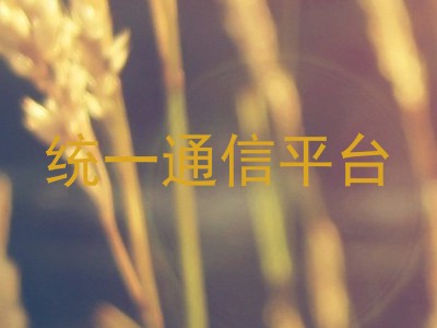 统一通信平台