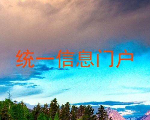 统一信息门户