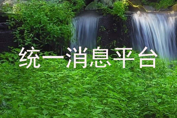 统一消息平台