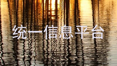 统一信息平台