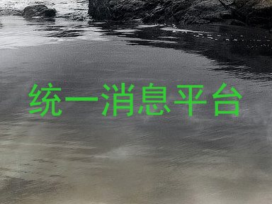 统一消息平台
