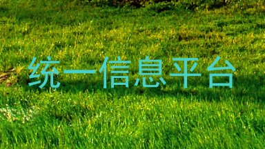统一信息平台