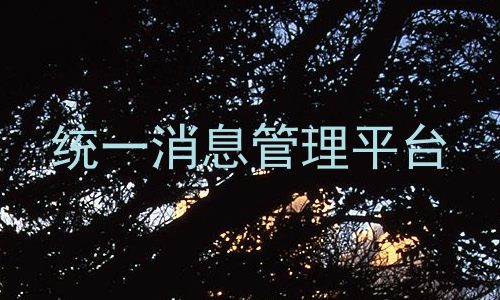 统一消息管理平台