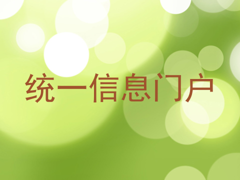 统一信息门户