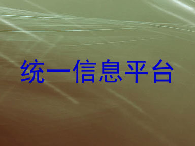 统一信息平台