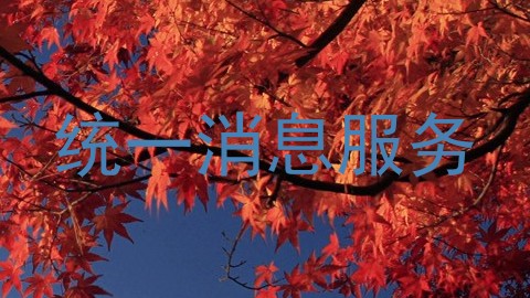 统一消息服务