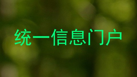 统一信息门户