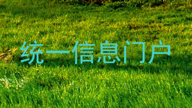 统一信息门户