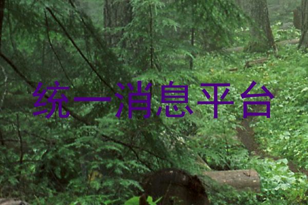 统一消息平台