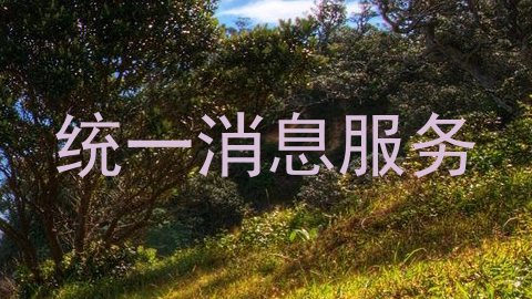 统一消息服务