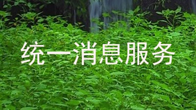 统一消息服务