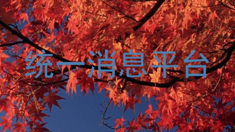 统一消息平台