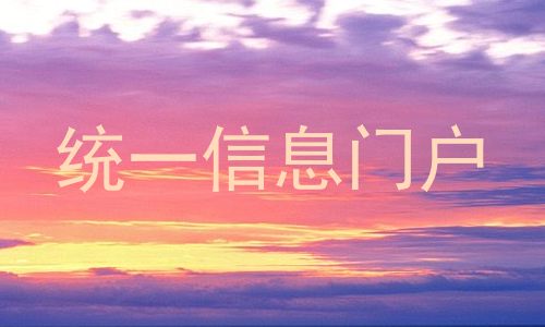 统一信息门户