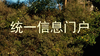 统一信息门户