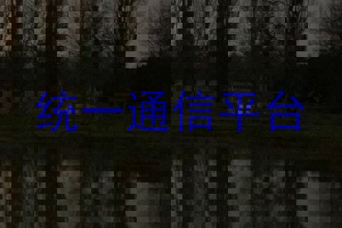 统一通信平台