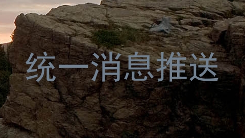统一消息推送