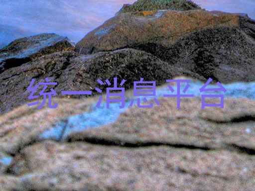 统一消息平台