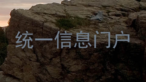 统一信息门户