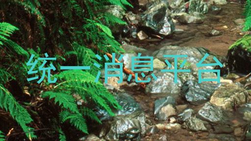 统一消息平台