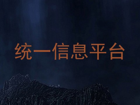 统一信息平台