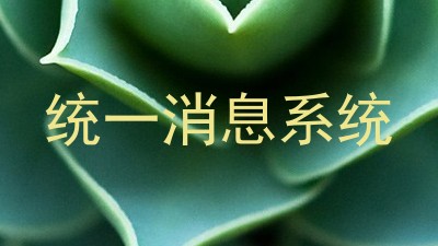 统一消息系统