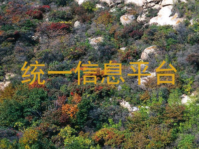 统一信息平台