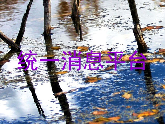 统一通信平台