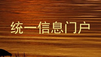 统一信息门户