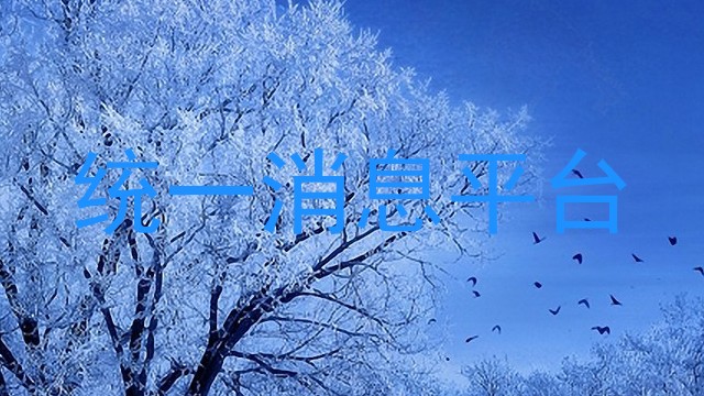 统一消息平台