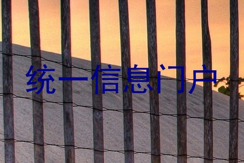 统一信息门户