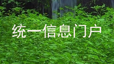 统一信息门户