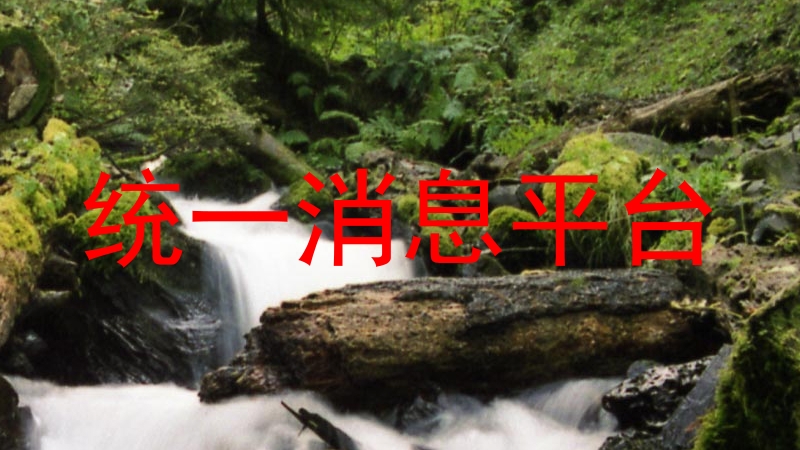 统一消息平台