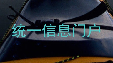 统一信息门户