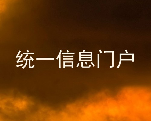 统一信息门户