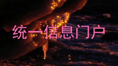 统一信息门户
