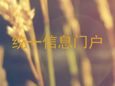 统一信息门户