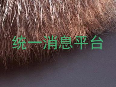 统一消息平台