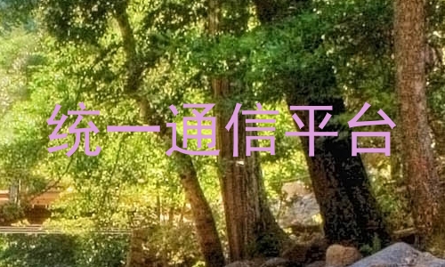 统一通信平台