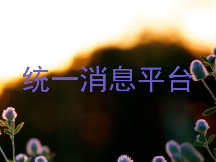 统一消息平台
