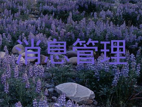 消息管理