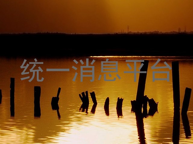 统一信息门户