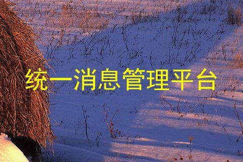 统一消息管理平台