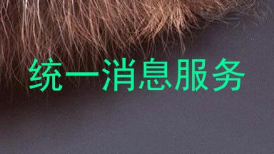 统一消息服务
