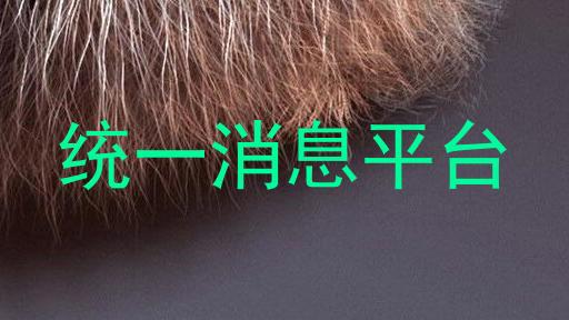 统一消息平台