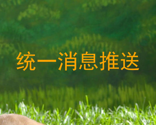 统一消息推送